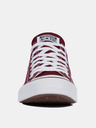 Converse Chuck Taylor All Star Tenisice