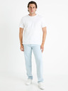 Celio Foloose Traperice