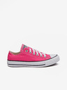 Converse Chuck Taylor All Star Tenisice