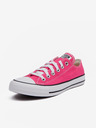 Converse Chuck Taylor All Star Tenisice