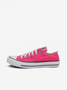 Converse Chuck Taylor All Star Tenisice