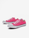 Converse Chuck Taylor All Star Tenisice