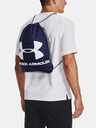 Under Armour UA Ozsee Ruksak