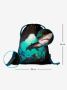 BAAGL  eARTh Gymsack