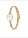 Daniel Wellington Petite Mini 19 Evergold Satovi