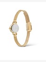 Daniel Wellington Petite Mini 19 Evergold Satovi