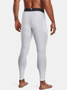 Under Armour HG Armour Tajice