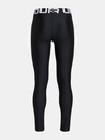 Under Armour HG Legging Tajice