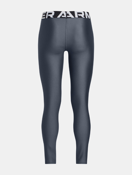 Under Armour HG Legging Tajice